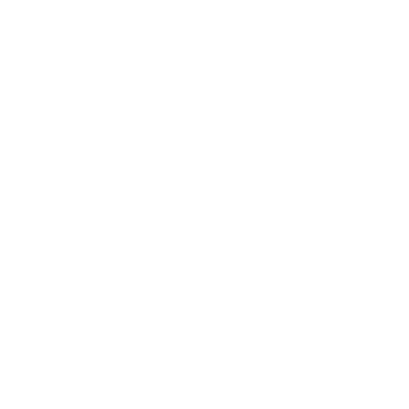 Seguridad icon